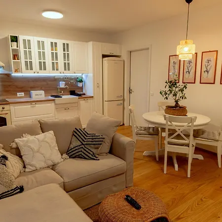 Anur Ii Apartment Ptuj